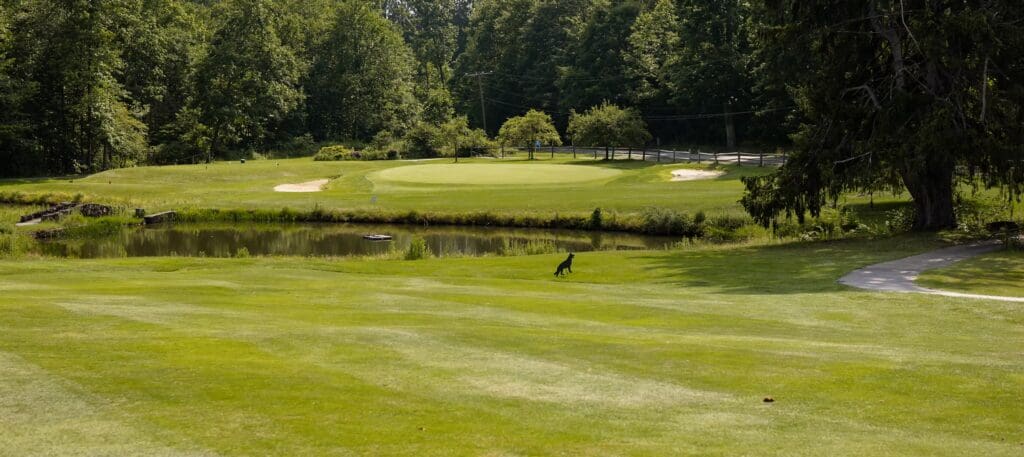 Pinecrest #2