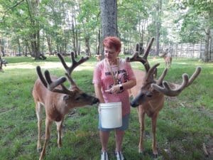 Double Diamond Deer Ranch