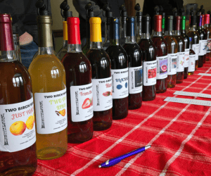 Bottles of wine in a row